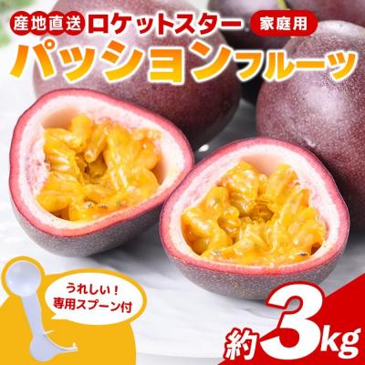 ふるさと納税 肝付町 鹿児島県産パッションフルーツ ロケットスター(約3.0kg)B99001