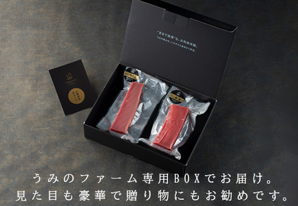 【高知県大月町産】うみのファーム お刺身用本まぐろ赤身・中トロ  計400ｇ