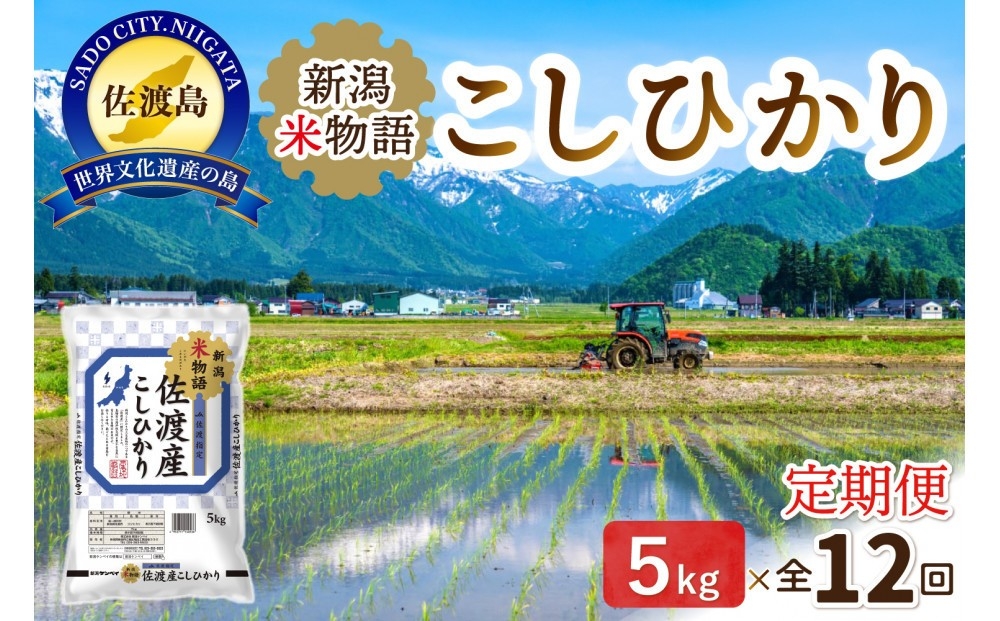 
                  【12か月定期便】佐渡産コシヒカリ「新潟米物語」精米5kg×毎月 合計60kg | 新潟県産コシヒカリ 新潟産コシヒカリ 佐渡産コシヒカリ 新潟県産こしひかり 佐渡産こしひかり 新潟米物語 お米 米 こしひかり 白米 精米 ブランド米 おこめ コメ 5キロ にいがた さど 新潟県 佐渡市
                