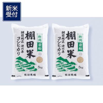 ふるさと納税 村上市 【新米受付・令和7年産米】新潟県岩船産　棚田米コシヒカリ玄米 10kg NAB4041