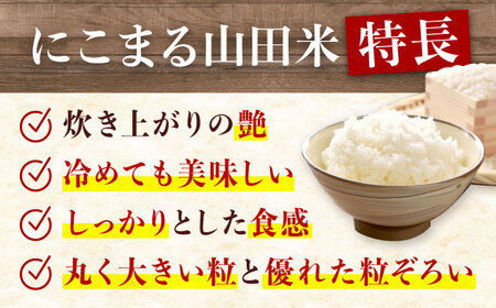 【令和7年11月以降発送】お米 農家自慢のお米 こだわりのにこまる 山田米 白米 10kg 米 こめ ブランド米 大粒 安心 安全 オススメ 人気 広島県福山市/株式会社吉川[BAFU001]