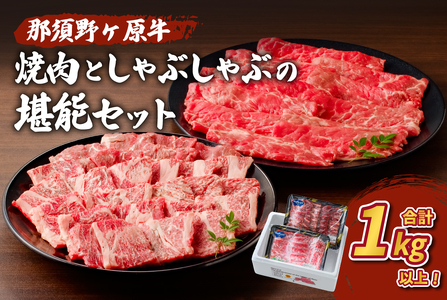 那須野ヶ原牛　焼肉としゃぶしゃぶで堪能セット JAS認定農場 牛肉 ｼﾞｭｰｼｰ ﾌﾞﾗﾝﾄﾞ牛 肉 牛もも 牛かた ｾｯﾄ 食べ比べ 食品 国産 ns004-003