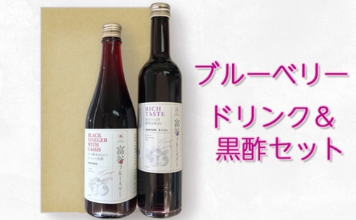 ブルーベリードリンク＆黒酢セット (500ml×2本)｜ブルーベリー 黒酢 ジュース ドリンク 飲料水 [0228]