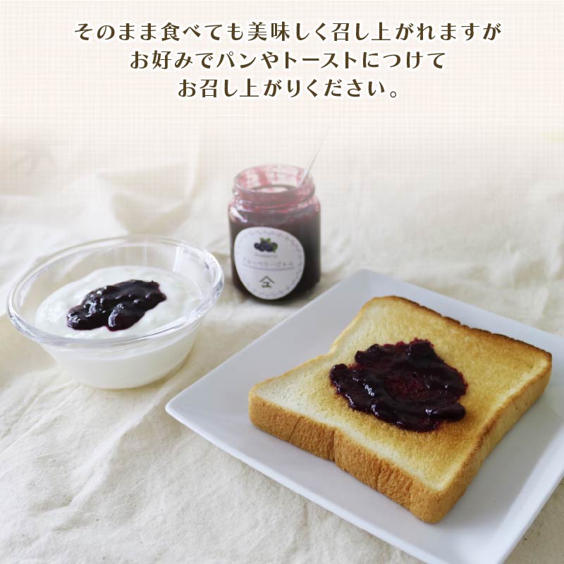 ブルーベリー ジャム 3本 詰め合わせ 無添加 英国 マーマレード アワード 受賞 工房 国産 フルーツ ブルーベリージャム やまゆ スイーツ ギフト 贈り物 季節 静岡県 藤枝市 トースト パン 朝