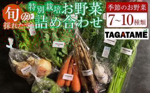 特別栽培 旬の採れたて お野菜 7～10種類詰め合わせセット TAGATAME タガタメ【野菜 特別栽培 有機野菜 農薬不使用 無農薬】