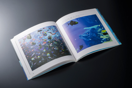 AQUAS アクアスの仲間たち 小林茂雄写真集｜本 写真集 しまね海洋館アクアス 海洋館 水族館 海の生き物 生き物 イルカ ペンギン サメ エイ 子供 孫 KS-1