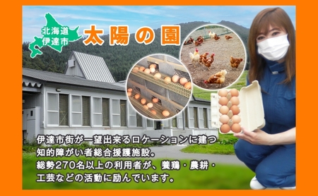 ◆6ヵ月連続お届け◆ 定期便 北海道伊達「太陽の園」の平飼たまご（有精卵）たまごの心 40個 Lサイズ