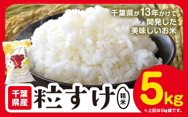 千葉県産 粒すけ 白米 5kg《30日以内に出荷予定(土日祝除く)》令和8年産 千葉県 勝浦市 米 お米 千葉県産 精米【配送不可地域あり】(離島)