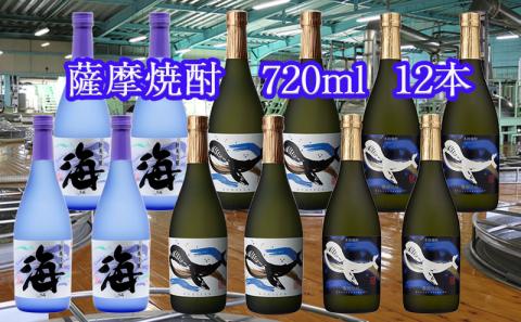 大海酒造特選飲み比べ 720ml 12本