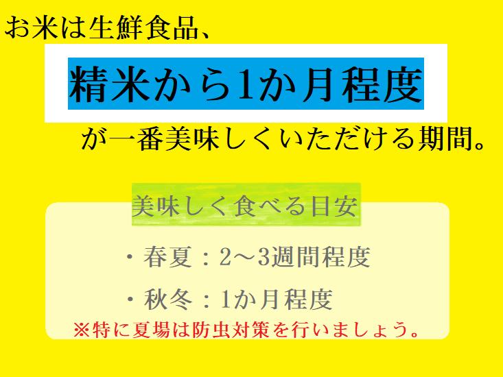 令和7年産湯川村産コシヒカリ　精米60kg(10㎏×6回)【全6回定期便　R8.2月～R8.7月発送】