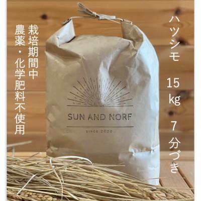 ふるさと納税 養老町 【令和7年産】初霜(源種)　7分づき15kg　(栽培期間中農薬・化学肥料不使用)