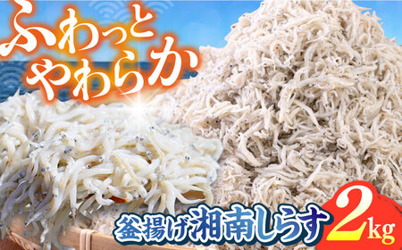 釜揚げ 湘南しらす 1kg×２P【平敏丸】 [AKEZ004]