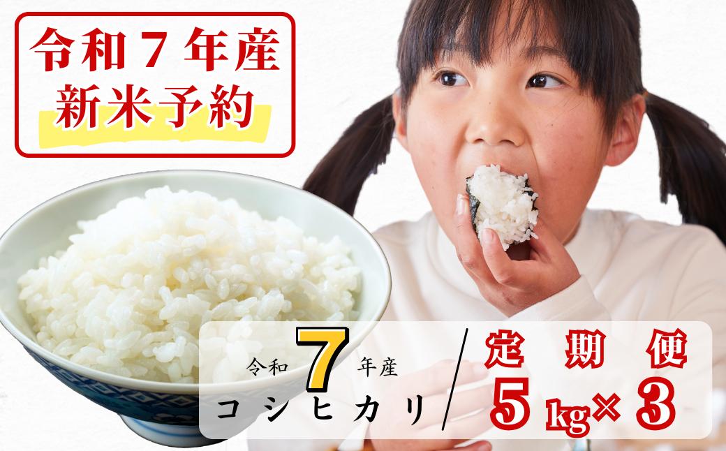 
            《令和7年産新米予約・10月ごろよりお届け開始》【3回定期便】白米 5kg 令和7年産 コシヒカリ 岡山 あわくら源流米 K-af-BEDA
          
