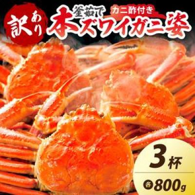 ふるさと納税 京丹後市 【大好評!カニ酢付き】訳あり!釜茹で!特大本ずわいがに姿 800g×3杯
