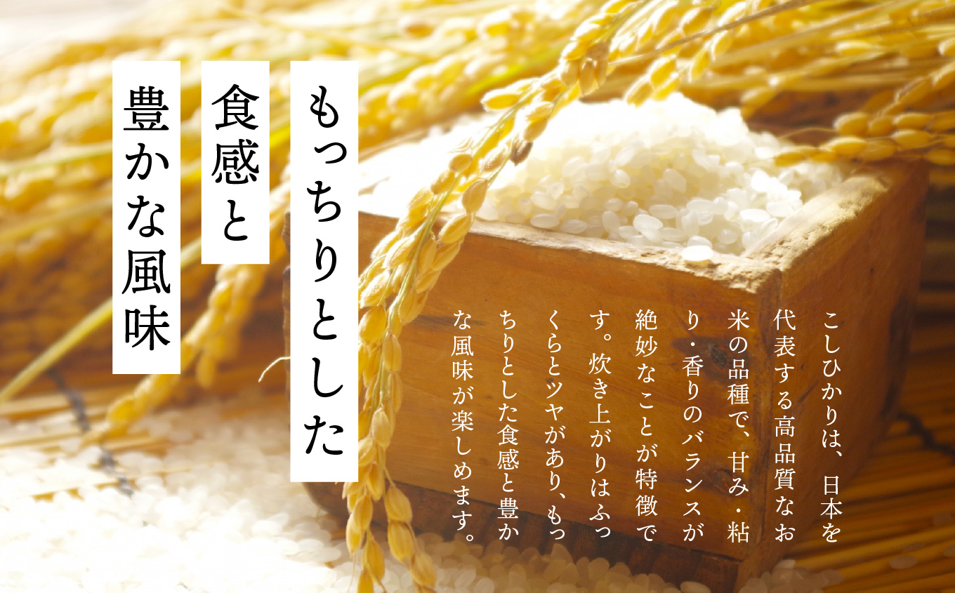 【定期便6ヶ月】二本松市産こしひかり5kg【株式会社あだたら米】