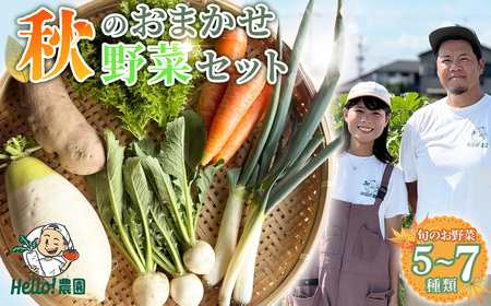 【Hello！農園 直送】秋のおまかせ野菜セット（5～7品） 栽培期間中農薬・化学肥料不使用 ／ 野菜 やさい 新鮮 旬 採れたて おいしい 産地直送 産直 無農薬野菜 こだわり 定番野菜 めずらしい野菜 フレッシュ 愛知県 No.276