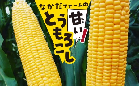 《令和7年産先行予約》《期間限定・数量限定》甘い！飛騨のトウモロコシ ゴールドラッシュ 4kg とうもろこし [B0224] syun31