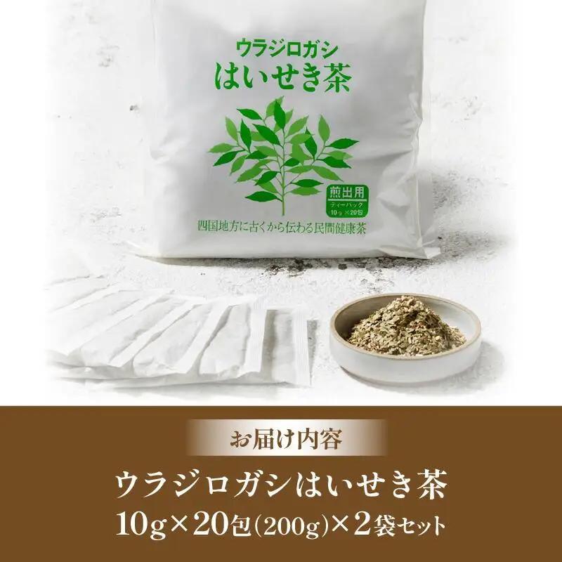 ウラジロガシ はいせき茶　2袋セット