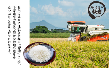 精米 10kg 令和7年産 にじのきらめき 茨城県 下妻市産