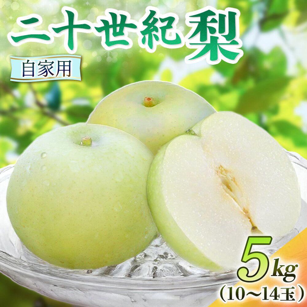 【ふるさと納税】 二十世紀梨【自家用】5kg（岸田秀果園） 鳥取 梨 果物 フルーツ 和梨 二十世紀梨 20世紀梨 人気 甘い 自家用 産地直送