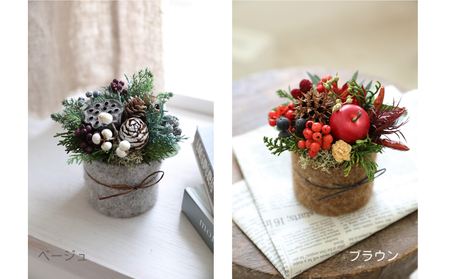 コロンウィンター【クリスマス限定！申込は11月30日まで】
 ベージュ