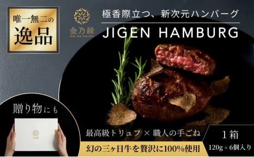 次元ハンバーグ120g×6個 【配送不可：離島】金乃縁 ハンバーグ 冷凍 国産 三ヶ日牛 牛肉 トリュフ風味 ギフト 冷凍食品 惣菜 静岡 浜松市 [№5360-1473]