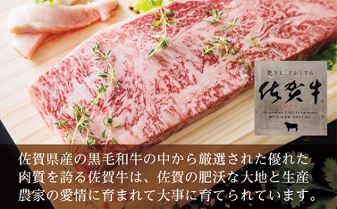 ｄ－７２　佐賀牛サーロインステーキ（２５０ｇ×２枚）