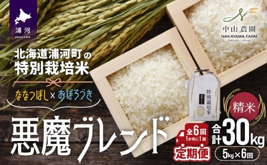 
            【先行受付開始！】北海道浦河町の特別栽培米「悪魔ブレンド」精米(5kg×1袋)定期便(全6回)[37-1497]
          