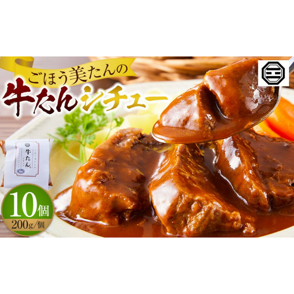 【ふるさと納税】ぶつぎりたんちゃん特製 ごほう美たんの牛たんシチュー | 食品 加工食品 人気 おすすめ 送料無料