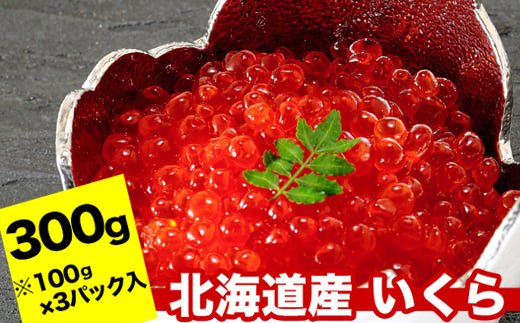 
            A-24019 【12月18日決済分まで年内配送】 秋鮭いくら醤油漬け100g×3P(計300g) 
          