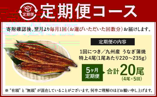 【5ヶ月定期便】九州産 うなぎ蒲焼 特上 4尾 (1尾あたり220～235g) 合計20尾