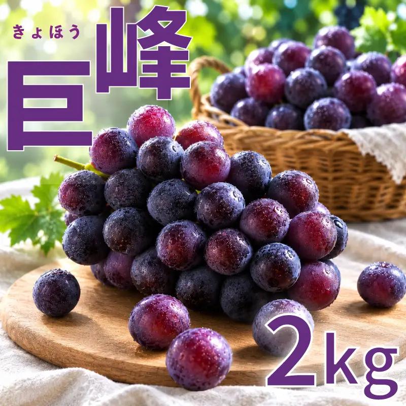 新鮮産直！巨峰 約2kg 【2027年発送】 葡萄 フルーツ ぶどう RYE