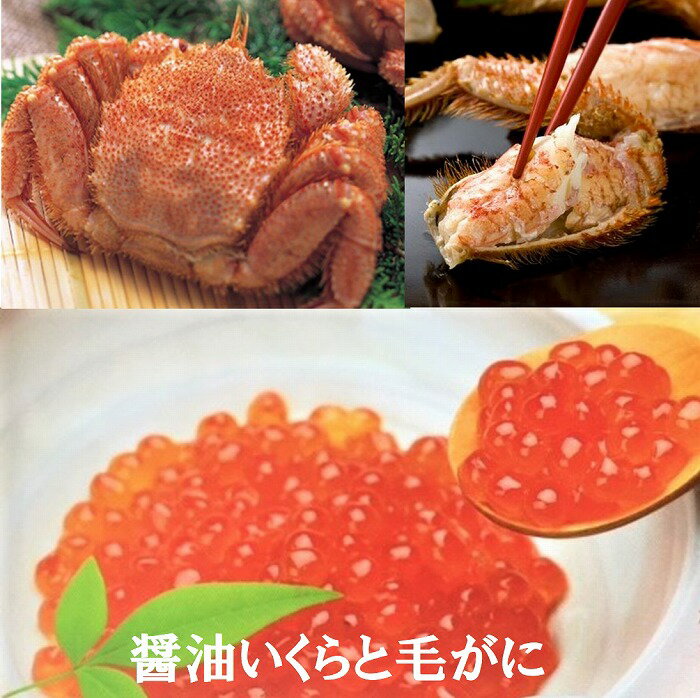 【ふるさと納税】 [北海道根室産] 醤油いくらと毛がに イクラ 醤油 醤油漬 醤油漬け 魚卵 鮭卵 毛がに 毛蟹 けがに ケガニ かに カニ 蟹 お取り寄せ グルメ 海鮮 茹で蟹 茹でがに 茹でガニ 北海道 根室市 ふるさと納税 C-01065