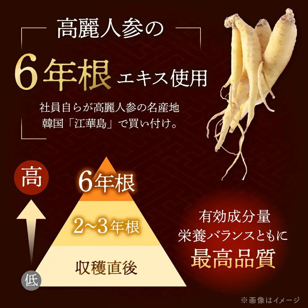 サムゲタン（450g×2袋） [ADAE016] 参鶏湯 サムゲタン レトルト 常温