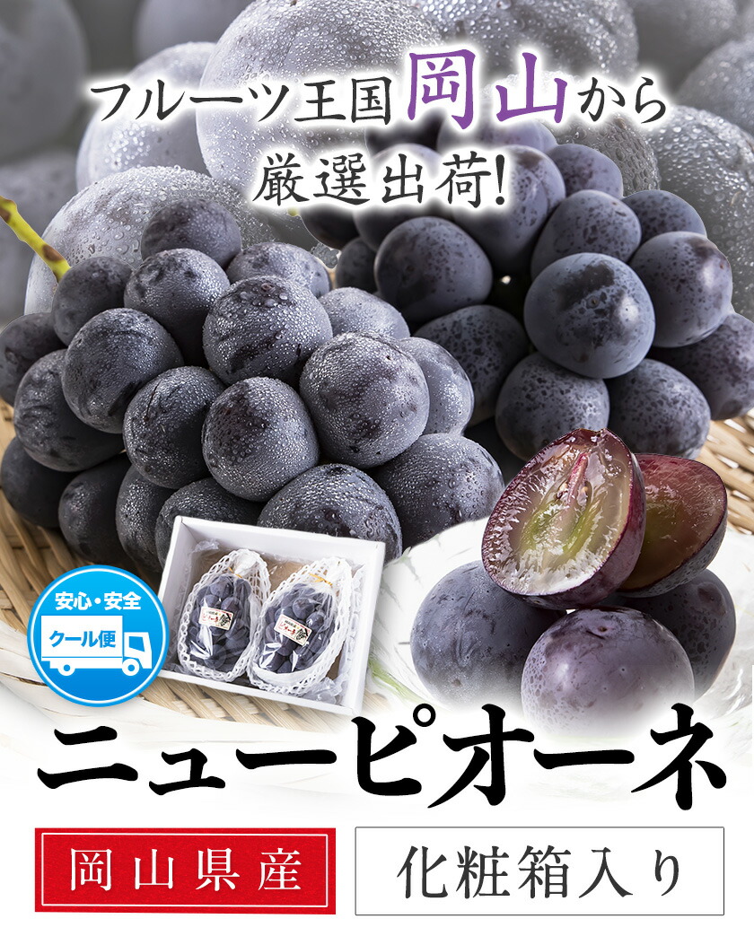 岡山県産 ニューピオーネ 約600g 1房《9月中旬-11月上旬頃出荷(土日祝除く)》岡山県 笠岡市 葡萄 果物 秀品 スイーツ フルーツ デザート 秋旬---kasaoka_zsy_36_06---