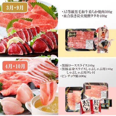 定期便6回配送 【当店限定】ごちそうまんきつセット FF-6004【配送不可地域：離島】