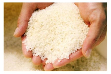 【令和7年度産】精米 ハツシモ 5kg｜ハツシモ