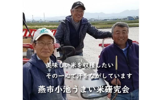 【令和7年産新米予約受付中】おかずのいらないコシヒカリ「つばめ返し」白米10kg FC028025