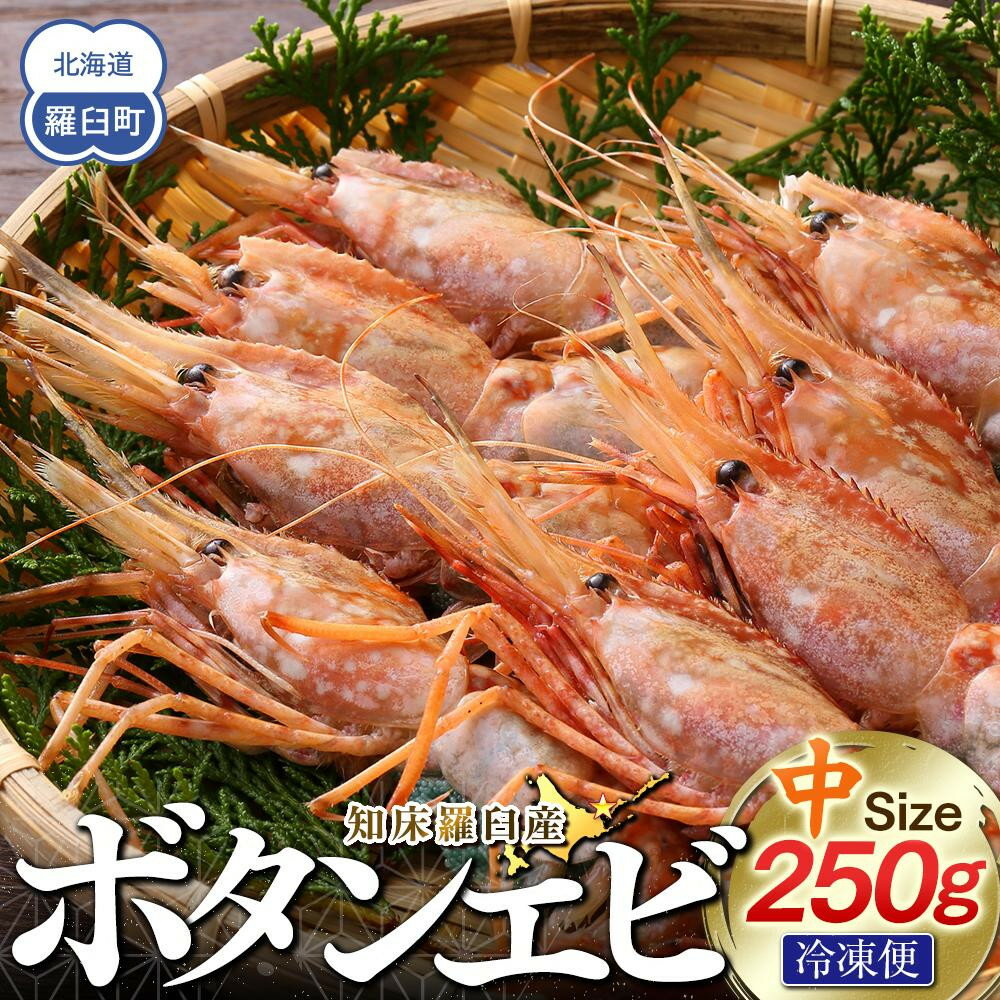 【ふるさと納税】知床羅臼ボタンエビ(中) 250g 生産者 支援 応援 | 海老 魚介類 水産 食品 人気 おすすめ 送料無料