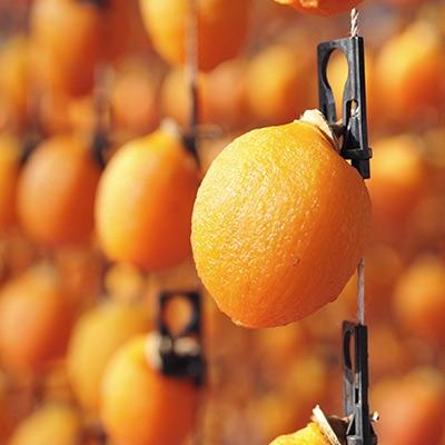 ふるさと納税 長野県 長野県産 市田柿〔700g(化粧箱入り)〕