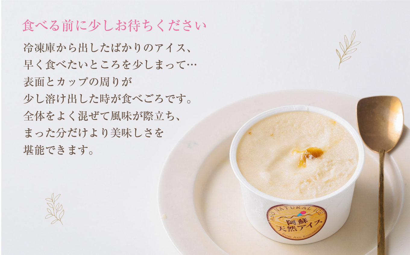 阿蘇天然アイス 極みシリーズ 6個 セット ジェラート グランプリ 受賞 詰め合わせ 食べ比べ バラエティ 素材 こだわり 人気 涼しい 冷たい 冷凍 さっぱり 美味しい 贅沢 果物 フルーツ おやつ 夏 お中元 お歳暮 熊本県 阿蘇市