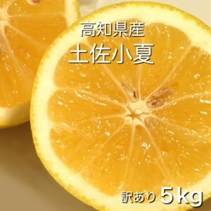 訳あり 小夏5キロ （白浜農園の減農薬小夏）柑橘 みかん ミカン 果物 フルーツ 日向夏 おやつ デザート 美味しい ワケアリ ご自宅用【R01153】