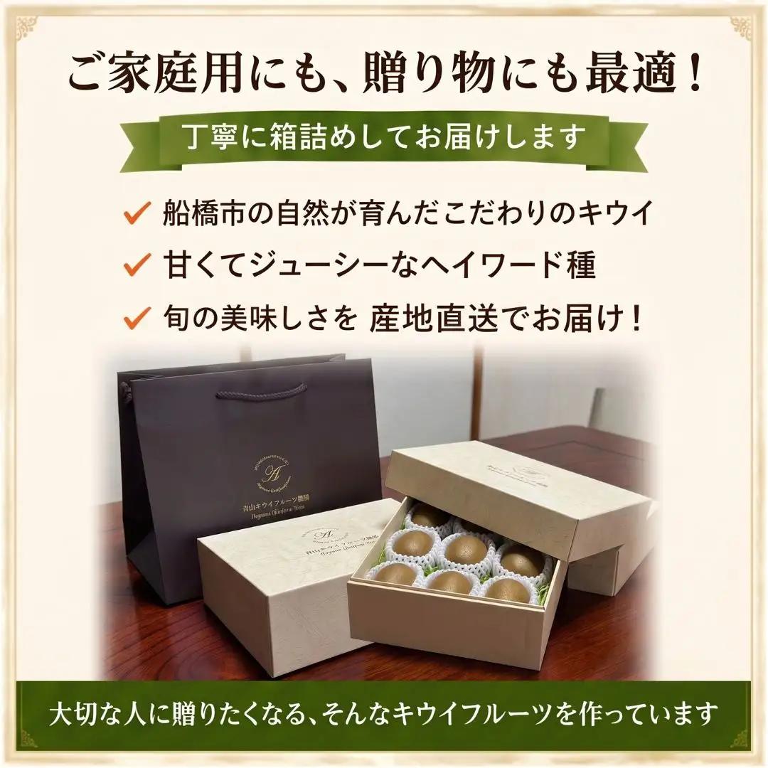キウイフルーツ ヘイワード 特大サイズ 12玉 約2kg 追熟処理済み 化粧袋付き 12月下旬発送分