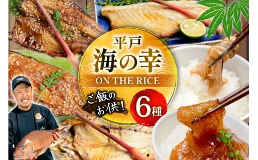 魚 干物 漬け 塩辛 ごはんのお供 塩干し みりん干し 漬け 塩辛 セット [末弘丸 長崎県 平戸市 hr42bgy420280] サバ アジ イワシ イリコ アゴ 平戸なつ香 塩干 みりん干 漬け いかの塩辛 無添加 ギフト