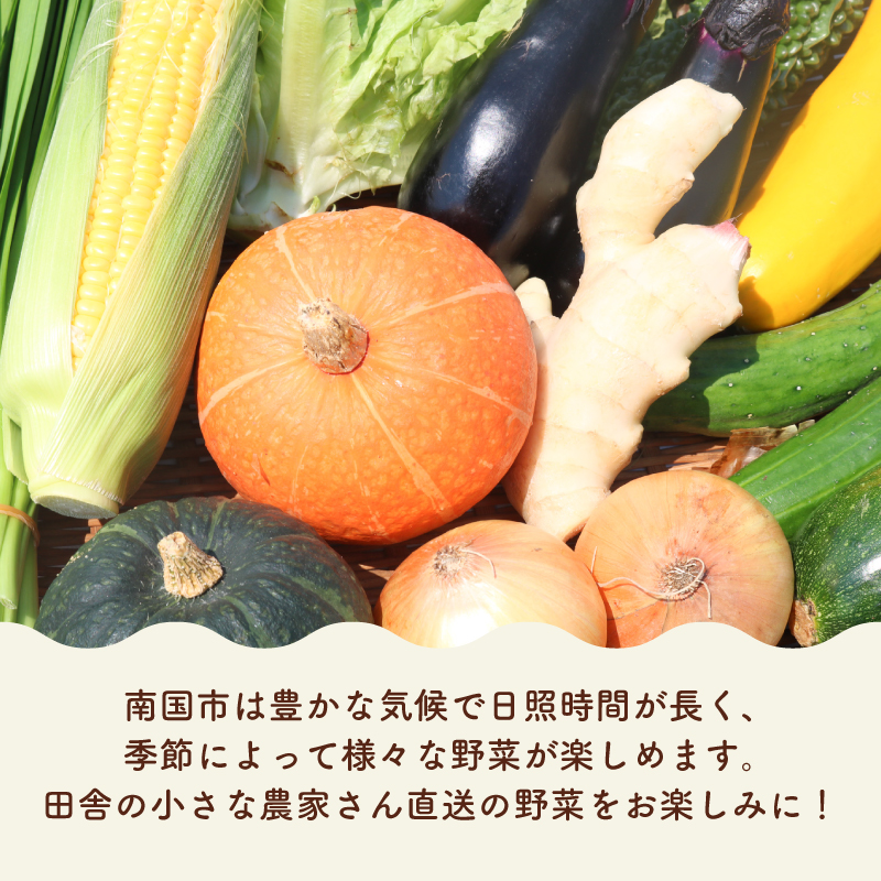 【野菜定期便全6回お届けコース】高知県産 南国土佐の季節野菜と卵（ゆずたま）の詰め合わせセット【新鮮野菜セット卵付き】【セット 詰め合わせ 旬 たまご 卵 柚子 人気 高知県 南国市】