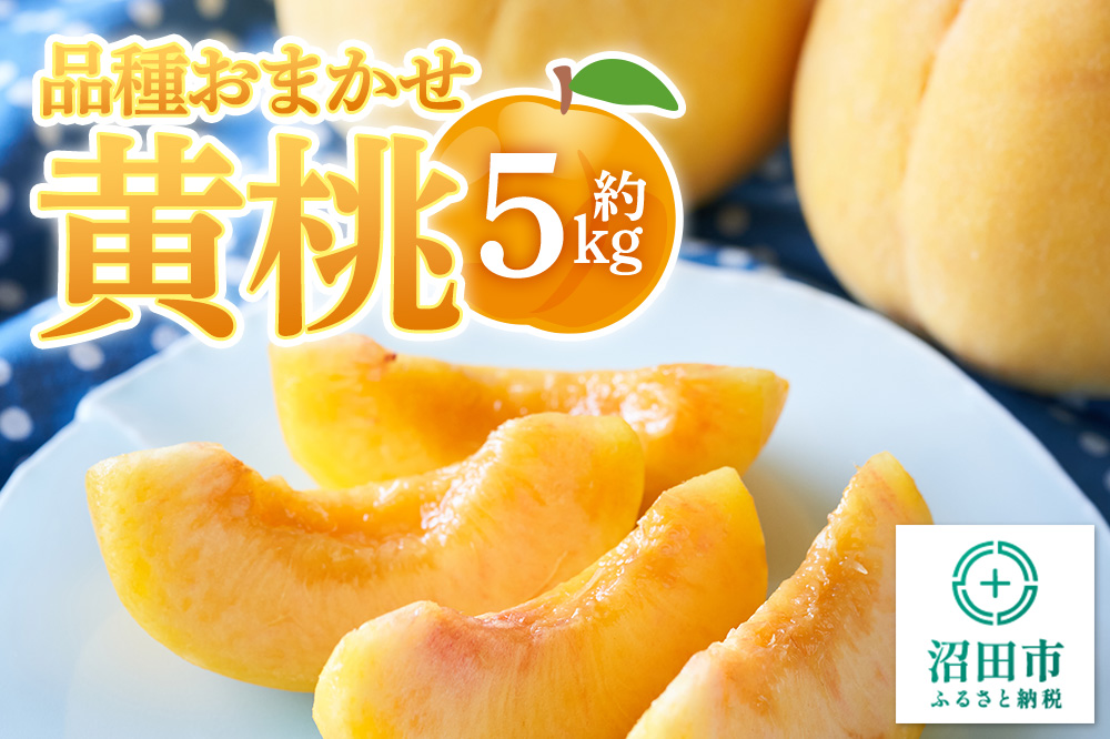 《8月下旬〜9月上旬にお届け》 品種おまかせ黄桃 約5kg フルーツ王国松井 [夏の味覚 夏の果物 夏のフルーツ 桃 もも モモ momo 旬物 ぴーち ピーチ peach お任せ おまかせ セット]