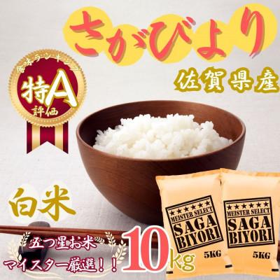 ふるさと納税 伊万里市 令和7年産さがびより【白米】10kg(5kg×2袋)【特A評価】《マイスターセレクト》(伊万里市)