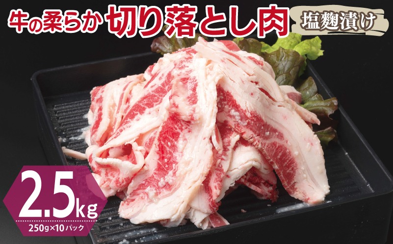 099H3387 牛肉 切り落とし 塩麹漬け 合計2.5kg【味付け 小分け 焼くだけ 簡単調理 BBQ 牛肉 250g×10袋】