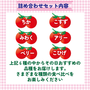 ミニトマト 1.5kg 《訳あり》 2種以上 野菜 ミニトマト 新鮮