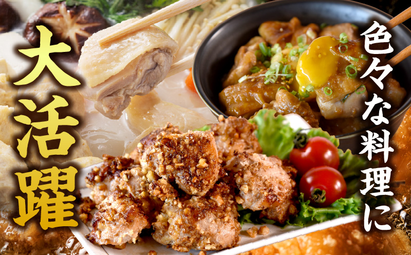 宮崎県産 若鶏切身 むね肉 4.8kg（300g×16袋）【3か月定期便】